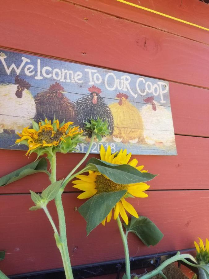 Global Village Permaculture Bnb Oliver Kültér fotó